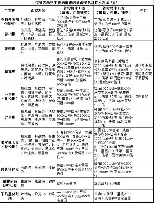 新澳内部资料精准一码波色表,实证解答解释定义_WP51.297