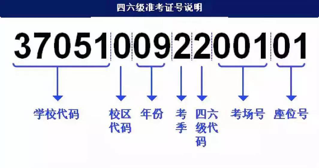 新澳门精准资料大全管家婆料,快速设计问题计划_HarmonyOS19.437