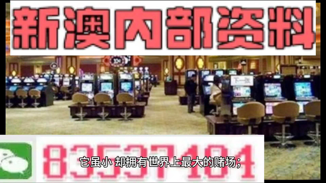 2024新澳最精准资料大全,专家解析说明_领航版49.900