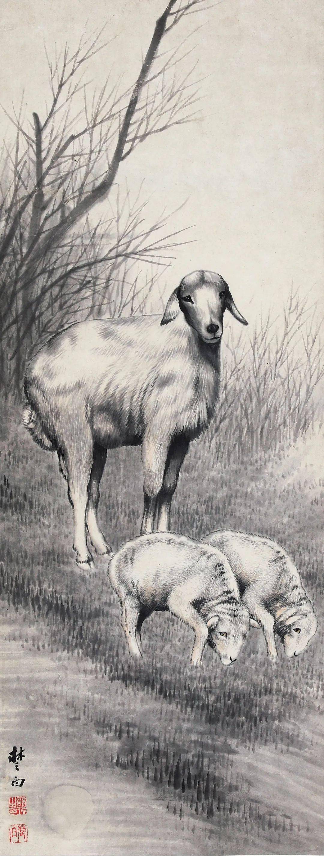 香港二四六开奖免费,平衡策略指导_W65.317