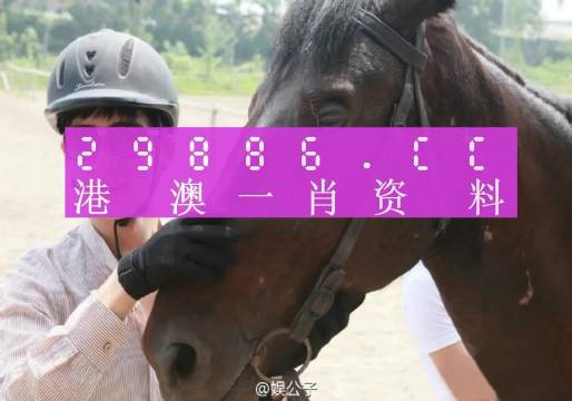 澳门必中一肖一码第一个,深度解答解释定义_入门版32.116