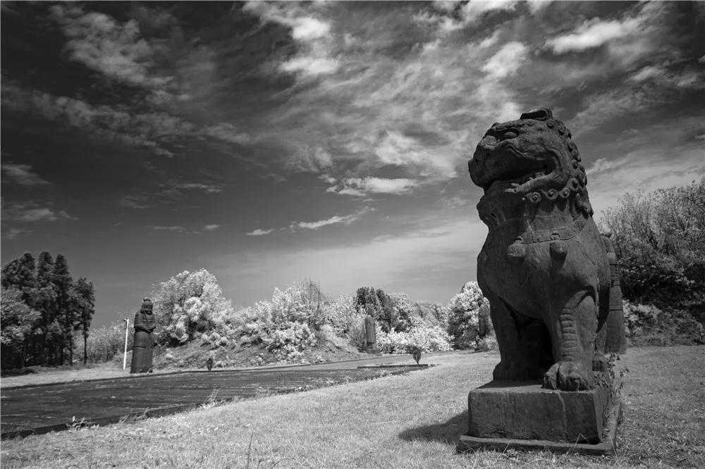 贵州张超最新作品🎨