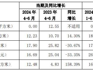 2024年12月12日 第31页