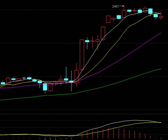 最新石油市场利好消息
