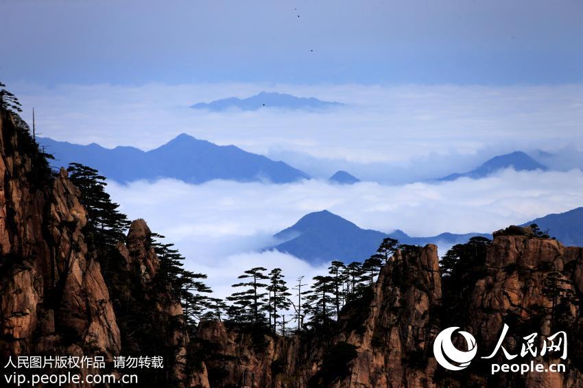 黄山云海奇观