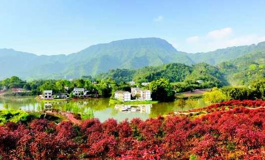 习水最新房价，一次探索自然美景的旅行，寻找内心的平静