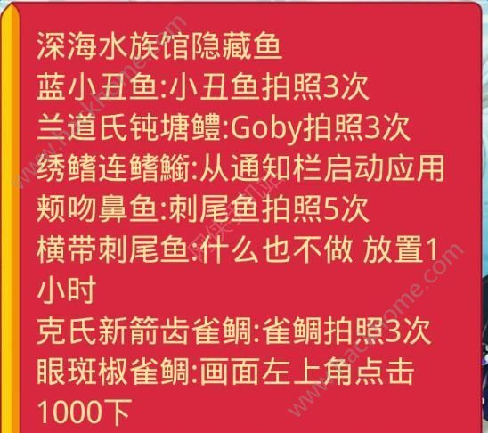 石湫最新资讯获取指南