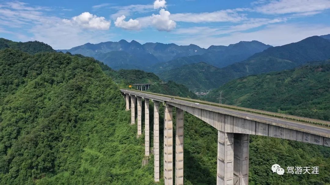 深圳最新疫情动态下的自然探索之旅，追寻内心的宁静与平和