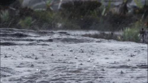 景德镇最新停电通知