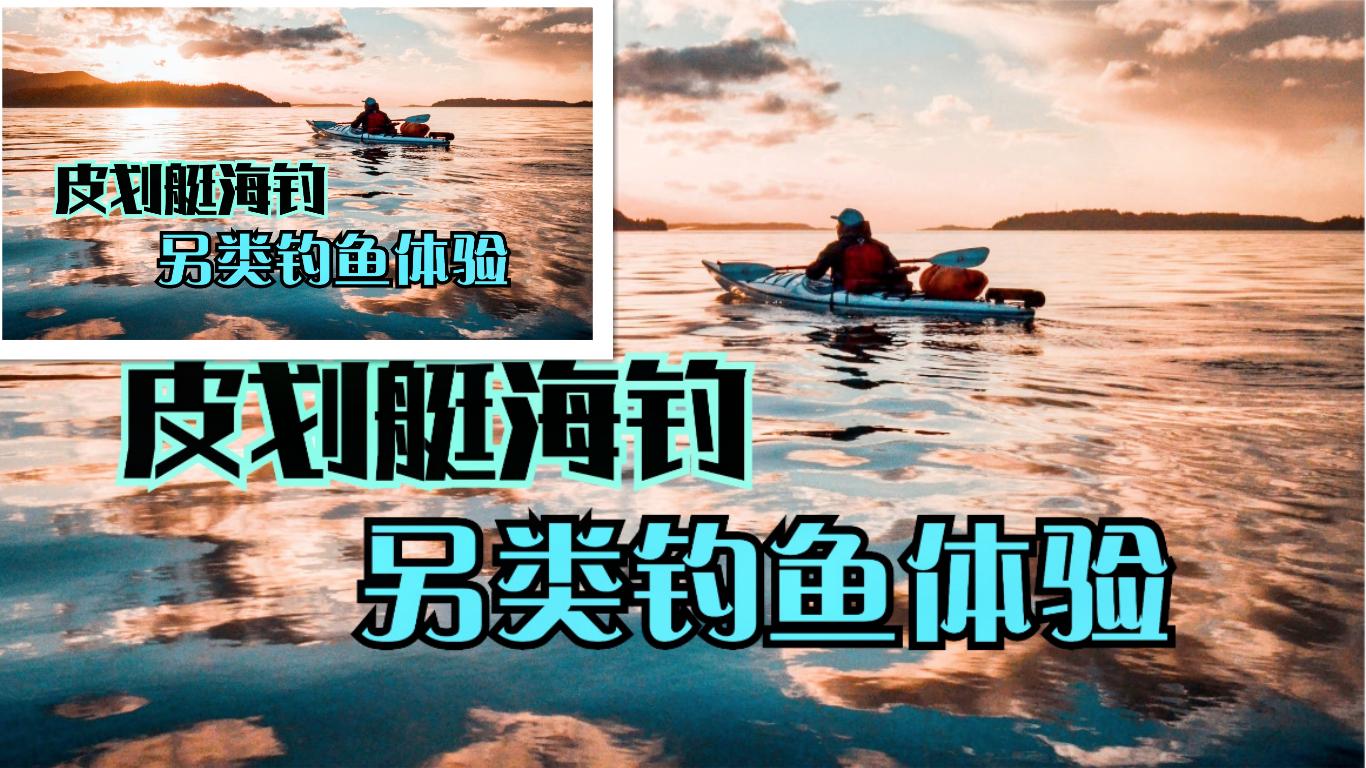 最新视频发布,探讨视频内容的吸引力与影响力