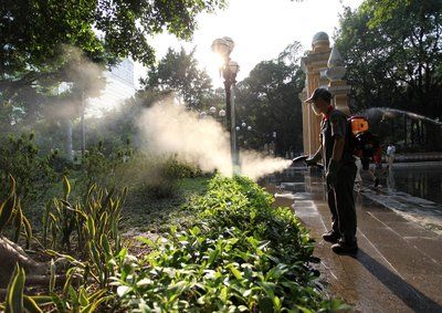 广州登革热最新消息，一场自然美景的探索之旅，寻找内心的平和