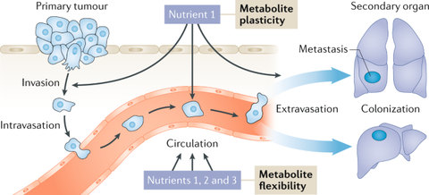 青田最新情况概览