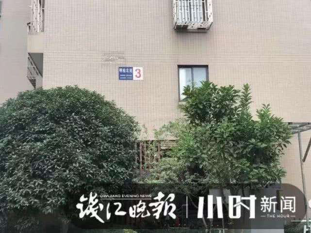 绿城蓝色钱江火灾最新动态,小巷深处的独特烟火