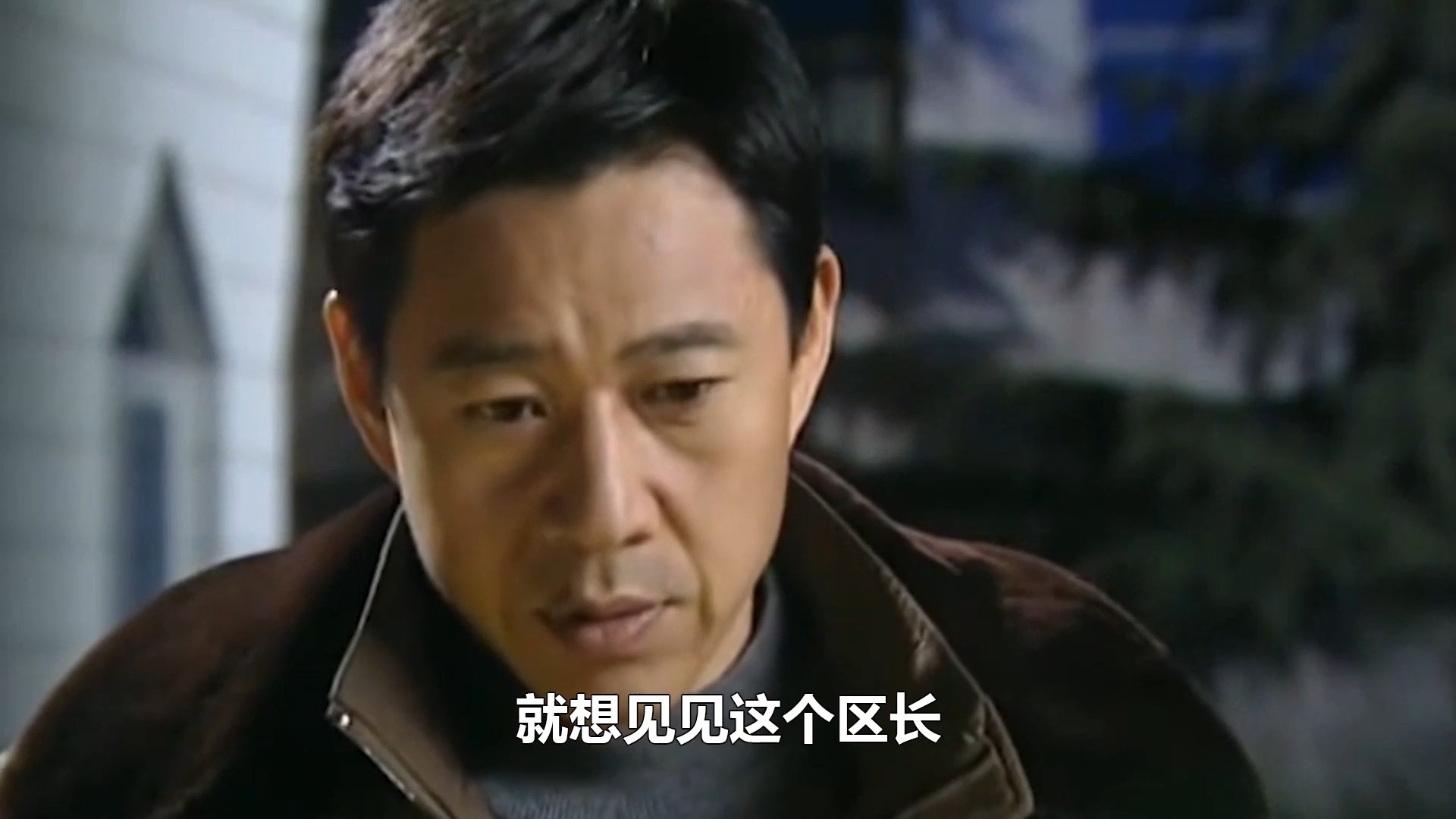 电视剧龙年档案,深度解读与观点阐述