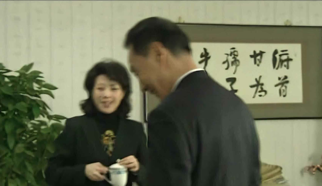 电视剧龙年档案,深度解读与观点阐述