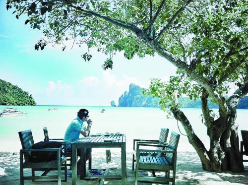 陕西西凤集团招聘信息——探寻自然美景之旅,启程心灵的平静之旅