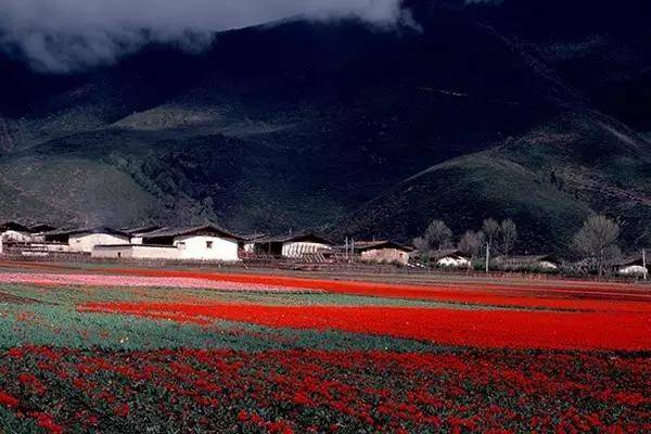 陕西西凤集团招聘信息——探寻自然美景之旅,启程心灵的平静之旅