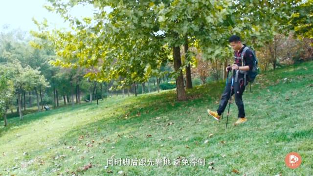 久草高清视频,探索高清视频世界的魅力