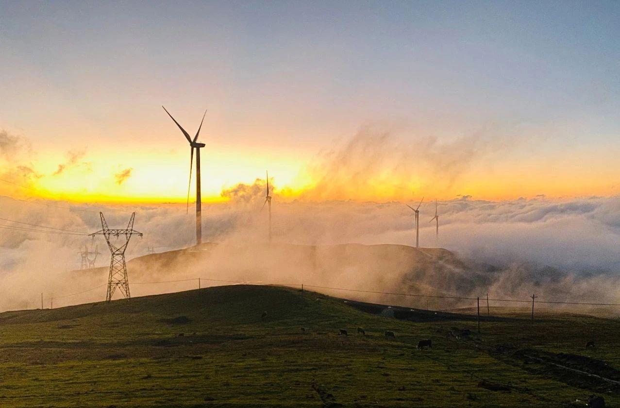 金风科技今天最新消息,科技与友情的温馨碰撞