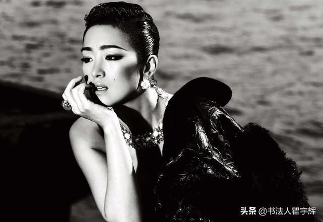 女明星的故事,璀璨星途的辉煌历程