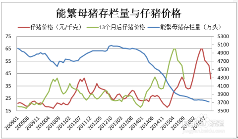 今日猪肉价格,市场分析及其影响因素