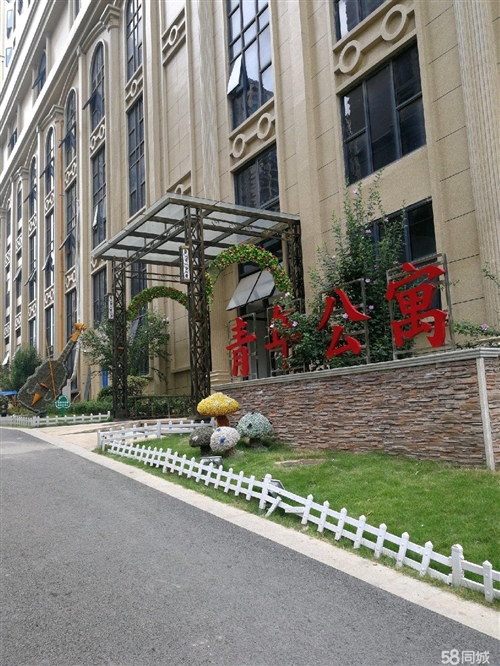 宁远金水湾最新动态,小巷中的惊喜发现