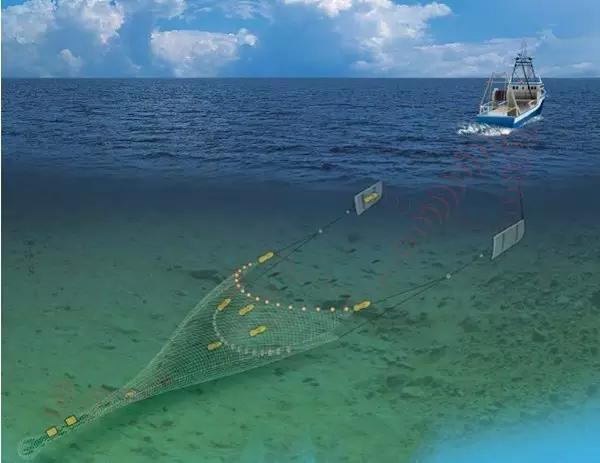 最新渔网技术,革新海洋捕捞业的关键力量
