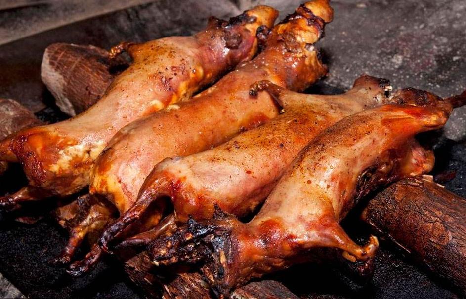 湛江田鼠收购信息,学习变化,自信成就梦想