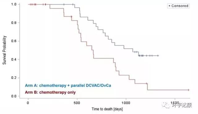 干细胞研究最新动态,生命之光照亮未来之路