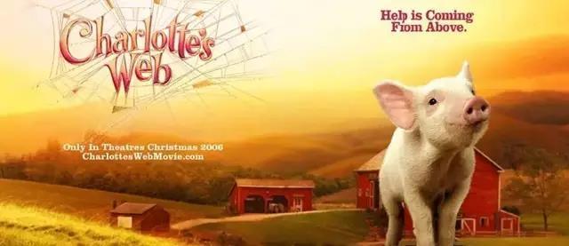 一个人和他的猪,电影背后的故事