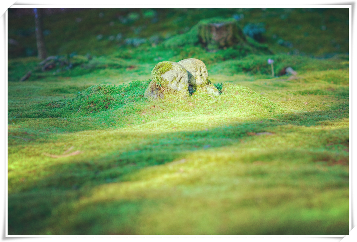 花都小道士,与自然美景的邂逅与内心的觉醒
