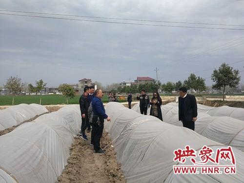 辣椒最新行情分析