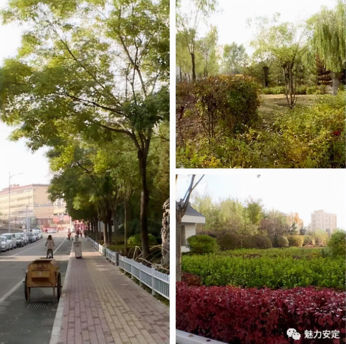 临洮最新住宅项目的多维度解析,一种观点的视角