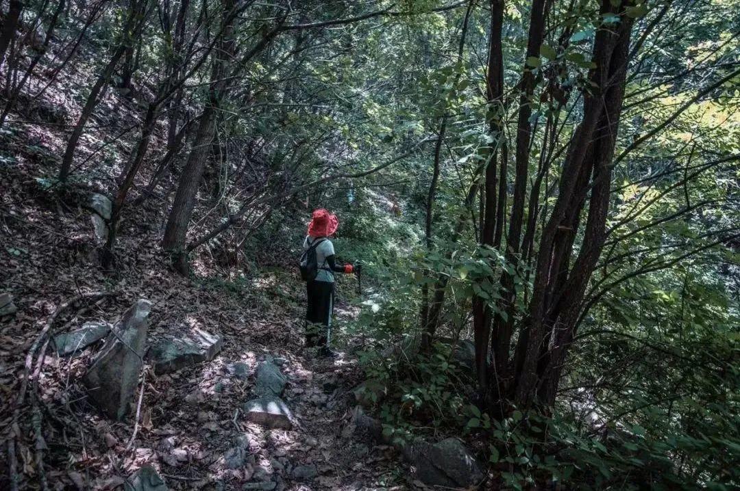 探寻自然美景之旅,与16平方铜线的意外邂逅