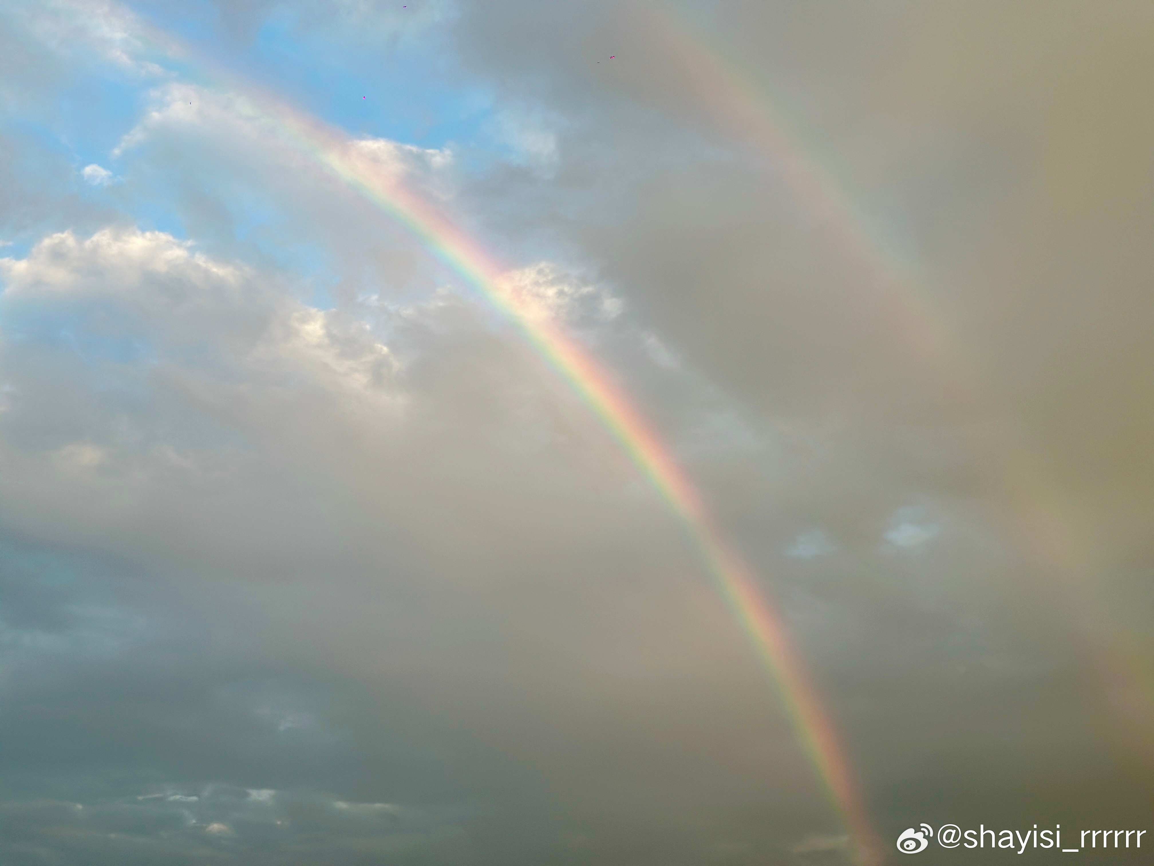 最新灰色项目曝光,勇敢追梦,灰色也能变彩虹