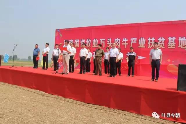 河南肉牛价格行情,一场与自然美景的旅行邂逅,寻找内心的平静