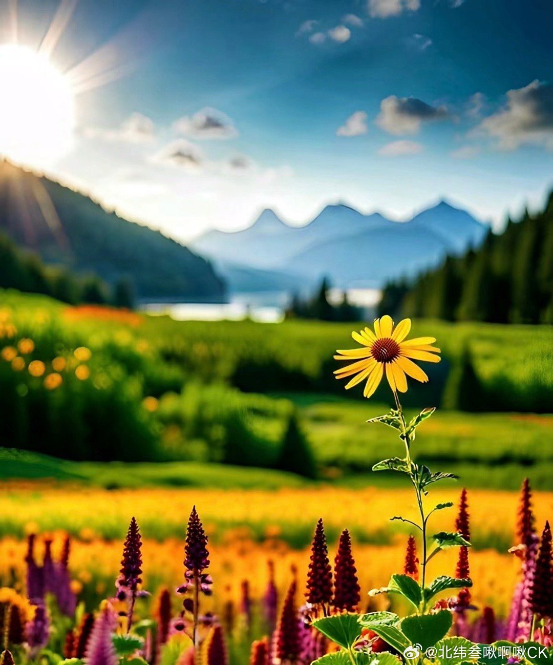 小董新作,与自然美景的邂逅,寻找内心的平和与喜悦