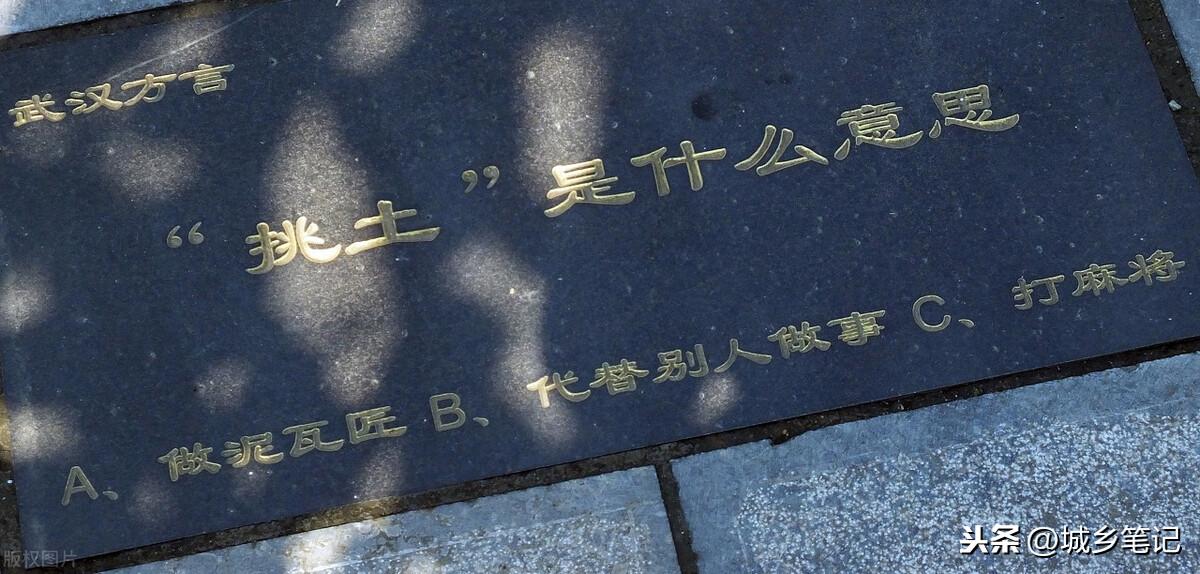 疯狂猜演员,一场文化与娱乐的交融