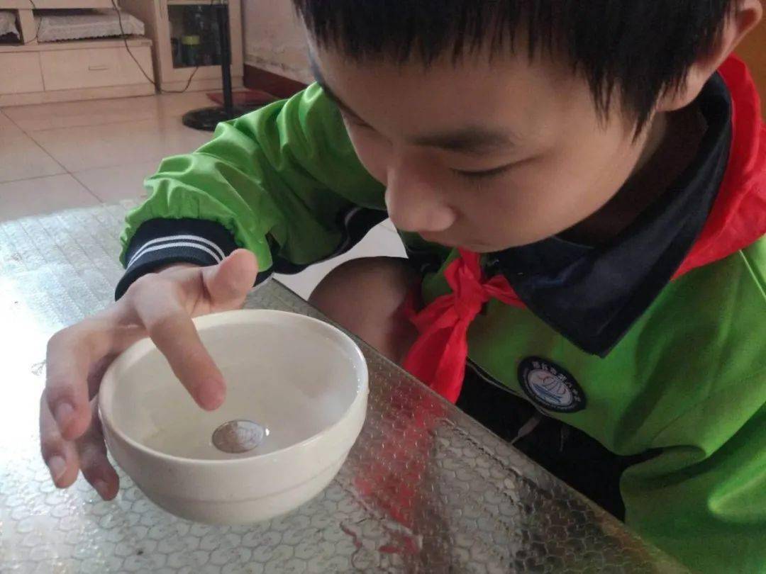 美团最新动态,引领生活,创新未来