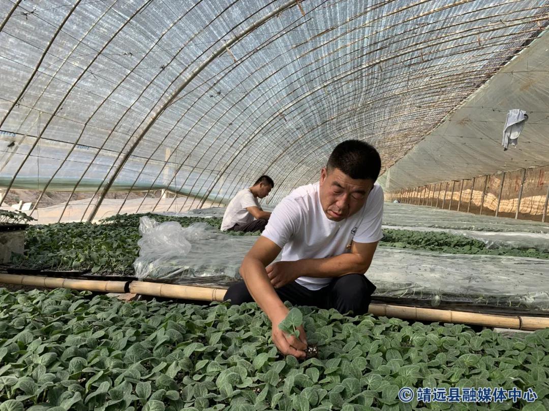 山东寿光最新消息,一场自然美景的探索之旅,启程寻找内心之宁静
