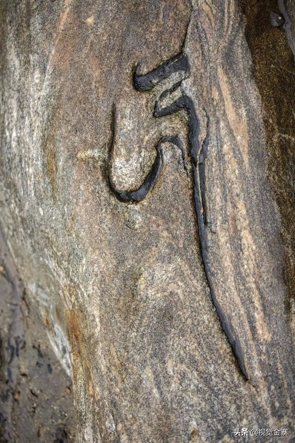 阜阳最新改造,城市焕新颜,发展再提速