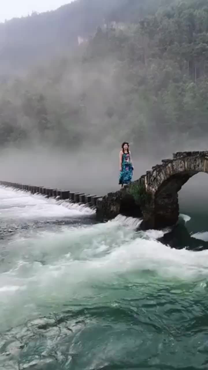 最新桥边姑娘,与大自然共舞,寻找内心的宁静