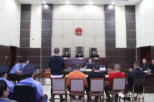 任丘最新案,深度解析其背景、进展与影响