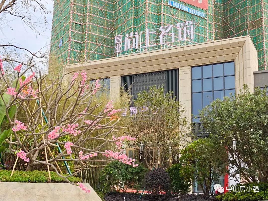 高考放榜最新,详细步骤指南