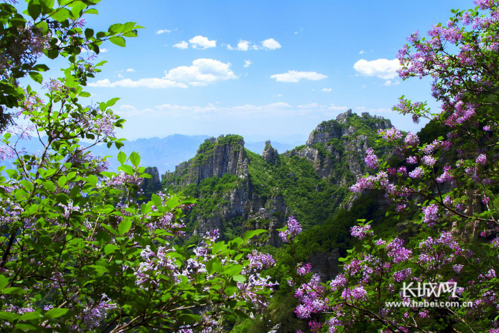河北最新甜,一场自然美景的旅行探索