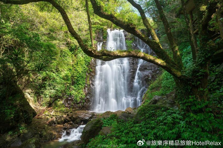 播放最新信息,一场自然美景的鼓舞之旅