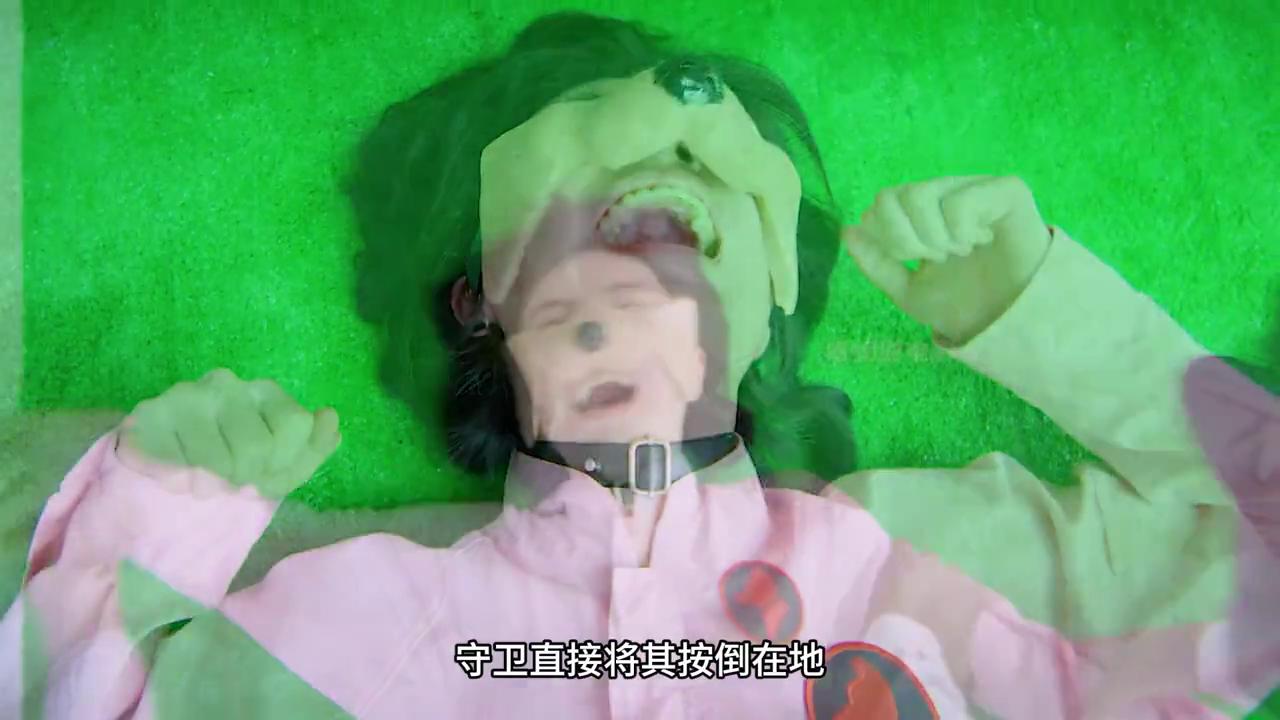 翠花狗最新,如何饲养与照顾狗狗的详细步骤指南