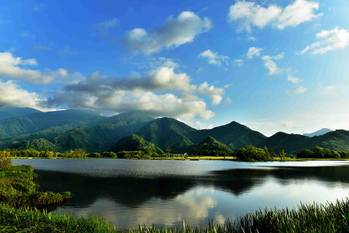 神龙架最新,探索自然奥秘,领略生态魅力