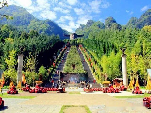 神龙架最新,探索自然奥秘,领略生态魅力