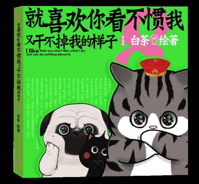 喵盒最新,温馨有趣的日常故事